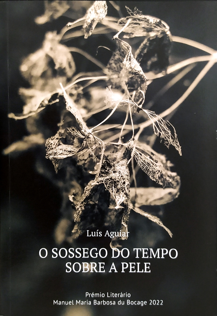 O Sossego do Tempo Sobre a Pele